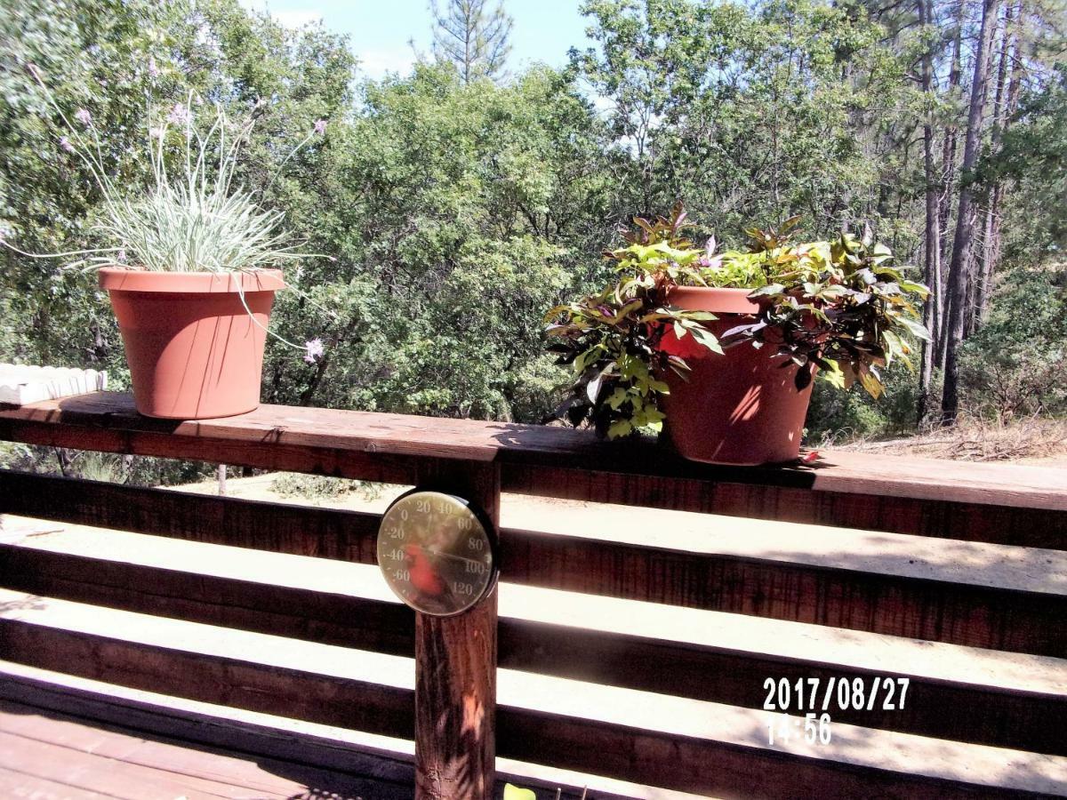 The Cub Bed & Breakfast Groveland